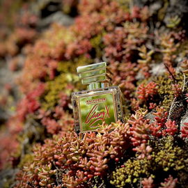 Oud 31 - Kai Porten Parfums Privés