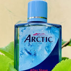 Arctic - Florena