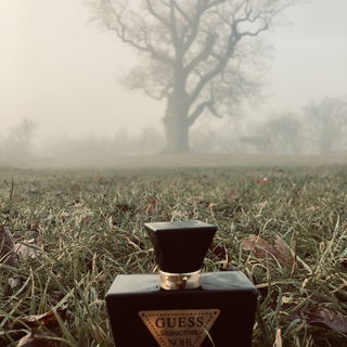 Seductive Noir (Eau de Toilette) - Guess
