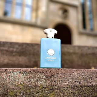 Search von Amouage
