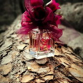 Zart trifft auf hart. (von Mikaelita)