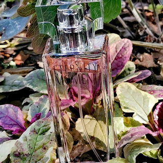 Eternity Moment - Calvin Klein