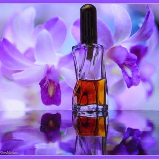 Senchal (Lasting Cologne) - Charles of the Ritz