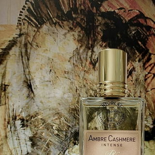 Ambre Cashmere Intense - Nicolaï