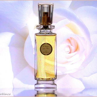 N'Aimez que Moi (1916) (Parfum) - Caron