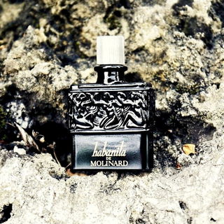 Habanitas Demons: im Bild sind mehrere liegende Gesichter versteckt - eines sagt mit seinen klauenhaften Fingern davor: Schhhhhhh, verrate mich nicht. Nur Habanita weiß es.