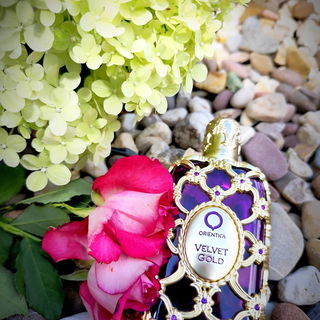 Velvet Gold - Orientica