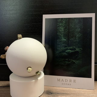 Madre by Adâme