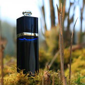 Elektrisierend (von Agrafena)