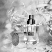 .... silberseidener, feinstwürziger Moschuskuschler ... .. ;) (by IrisNobile)