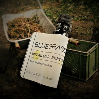 The Grey Wheelbarrow