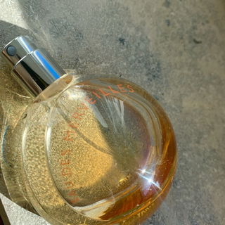 Eau des Merveilles (Eau de Toilette) von Hermès