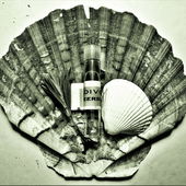 Flaschenpost (von Floyd)