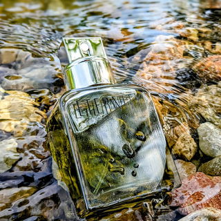 Eternity for Men (Eau de Parfum) - Calvin Klein