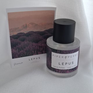 Lepus von Piper & Perro