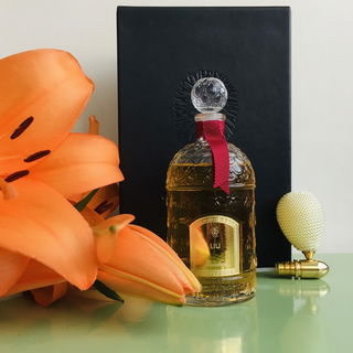 Les Parisiennes 125 ml