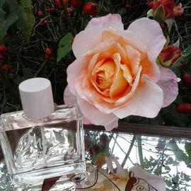 Rose Augusta Louise