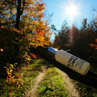 Series 1: Leaves - Calamus - Comme des Garçons