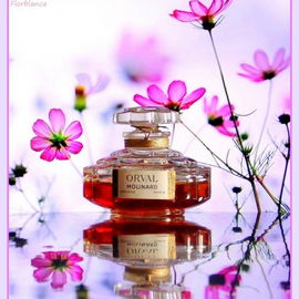 Orval (Parfum) - Molinard