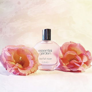 Joyful Rose von Essential Garden