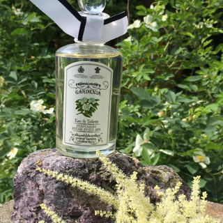 Gardenia von Penhaligon's