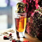 Mein Herbstduft...... (von Smitty)