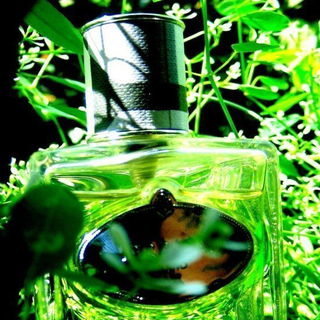 Prada goes Bündnis90