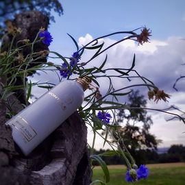 White Aoud - Montale