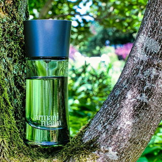 Armani Mania pour Homme (Eau de Toilette) - Giorgio Armani