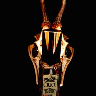 Cilice (Eau de Parfum) by Euphorium Brooklyn