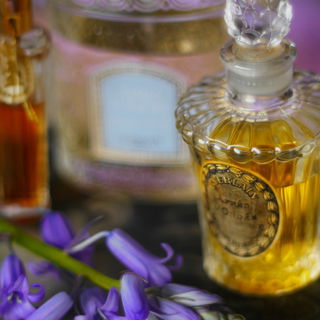 Der Frühling, der Frühling, der Frühling ist wach!