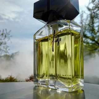 Weichzeichnende Nebel beugen sich allmählich der Sonne - beide liebe ich. Und Euer Besuch bei diesem Spiel der Elemente freut mich sehr🫶