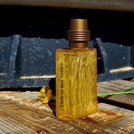 1881 Amber (Eau de Toilette) - Cerruti