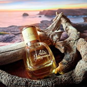 🌅 In einem fernen Land .... Danke für Eure schönen Rückmeldungen 🥰 (von MadameLegras)