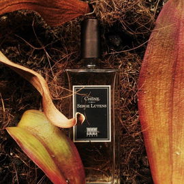 Chêne - Serge Lutens