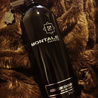 Aoud Cuir d'Arabie von Montale