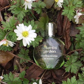 Blooming Paradise - Essential Garden