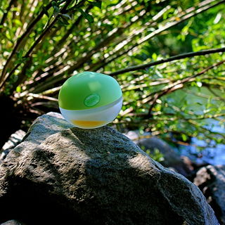 Delicious Delights Cool Swirl - DKNY