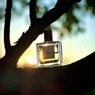 Encounters von Francesca Bianchi