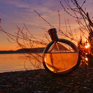 🧡 Bernstein mit Einschlüssen 🧡 Herzlichen Dank Euch allen 🧡