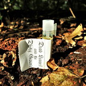 Tote Blätter, dreckiger Boden (by Floyd)