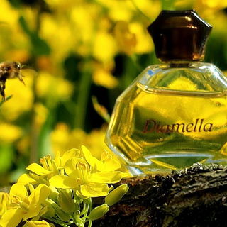 Diamella (Eau de Toilette) - Yves Rocher
