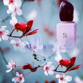 Sì (Fiori Eau de Parfum) - Giorgio Armani