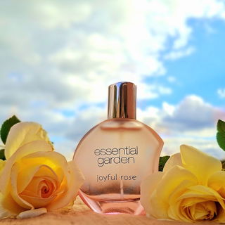 Joyful Rose by Essential Garden