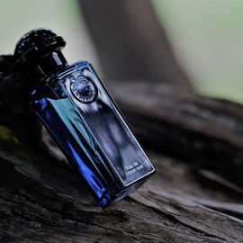 Eau de Citron Noir - Hermès