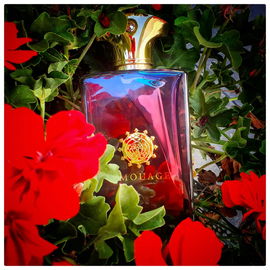 Elixir Essence de Parfum (Eau de Parfum) - Roja Parfums