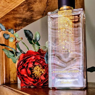 Rose Nacrée du Désert - Guerlain