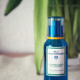 Cipresso di Toscana - Acqua di Parma
