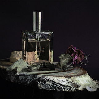 Vanitas - Profumum Roma