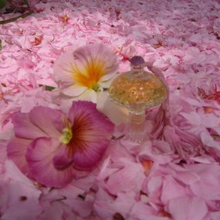 Bouquet di Violette - Borsari 1870